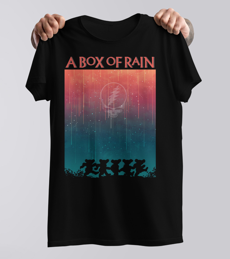 A Box Of Rain Grateful Dead Dancing Bears Steal Your Face T-Shirt