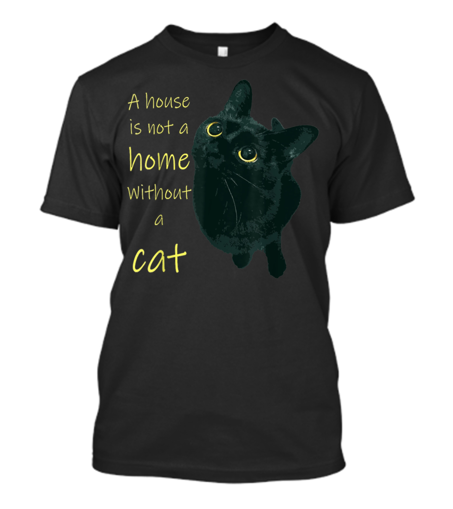 A House Is Not A Home Without A Cat Black Cat T-Shirt
