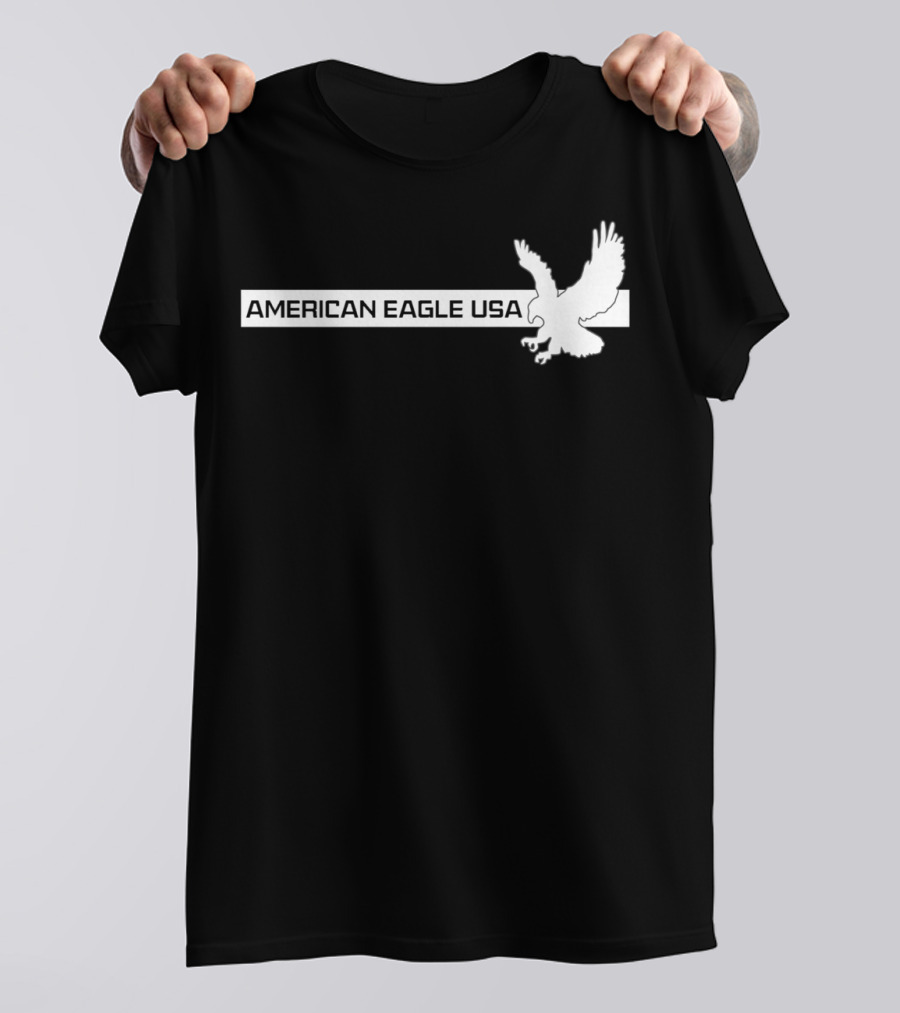 American Eagle USA Flight Icon T-Shirt