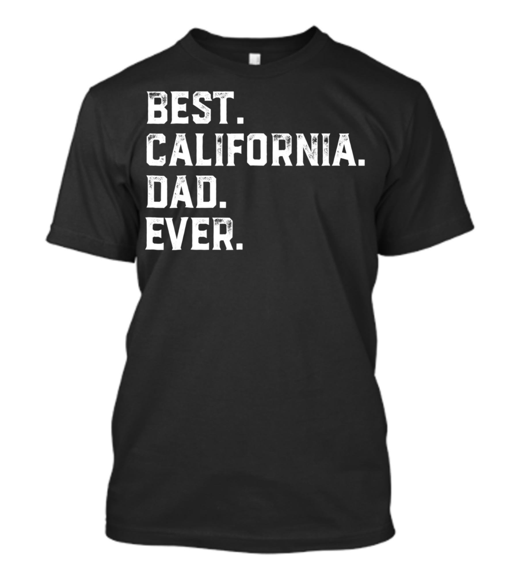 BEST CALIFORNIA DAD EVER DAY93 T-Shirt