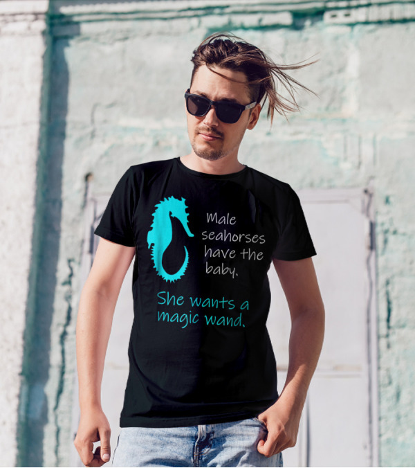 Male Seahorses Have The Baby She Wants A Magic Wand Dad To Be Maternity Tee96 T-Shirt