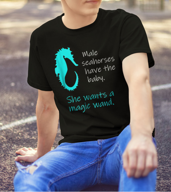 Male Seahorses Have The Baby She Wants A Magic Wand Dad To Be Maternity Tee96 T-Shirt