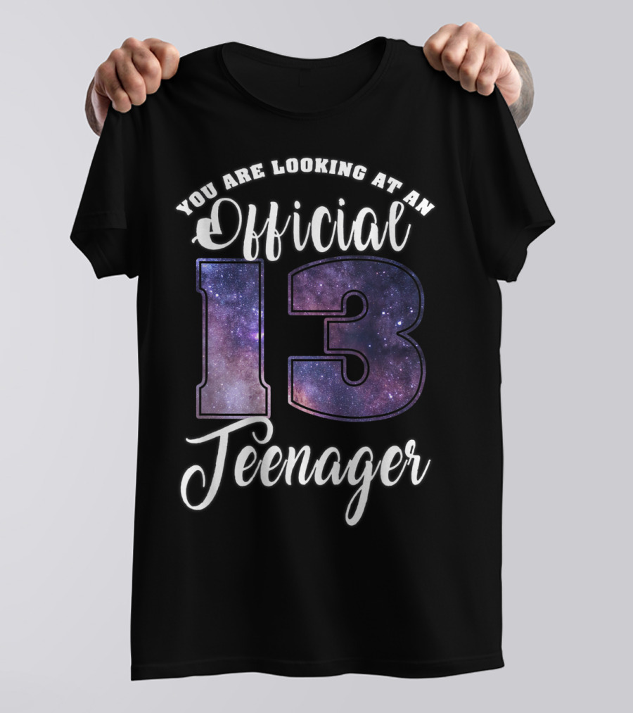 You Are Looking At An Official 13 Teenager T-Shirt