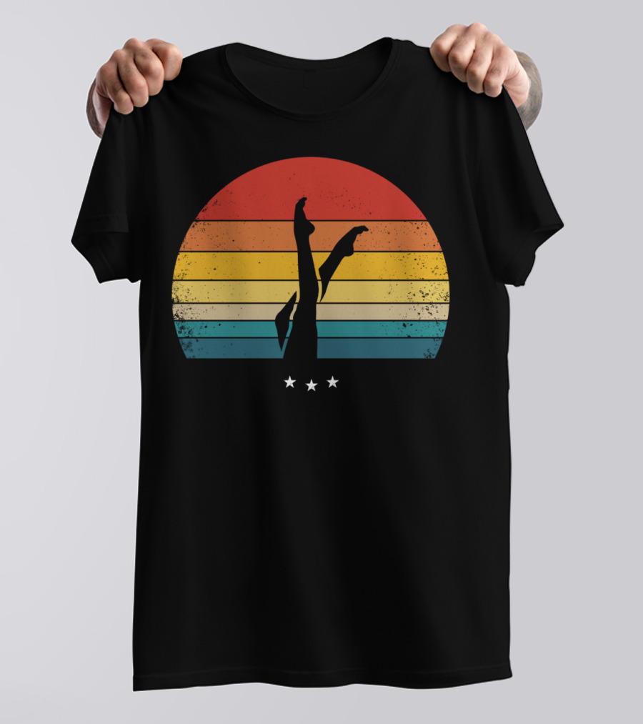 Retro Synchronized Swimming Legs Silhouette With Vintage Sunset Stripes And Stars T-Shirt