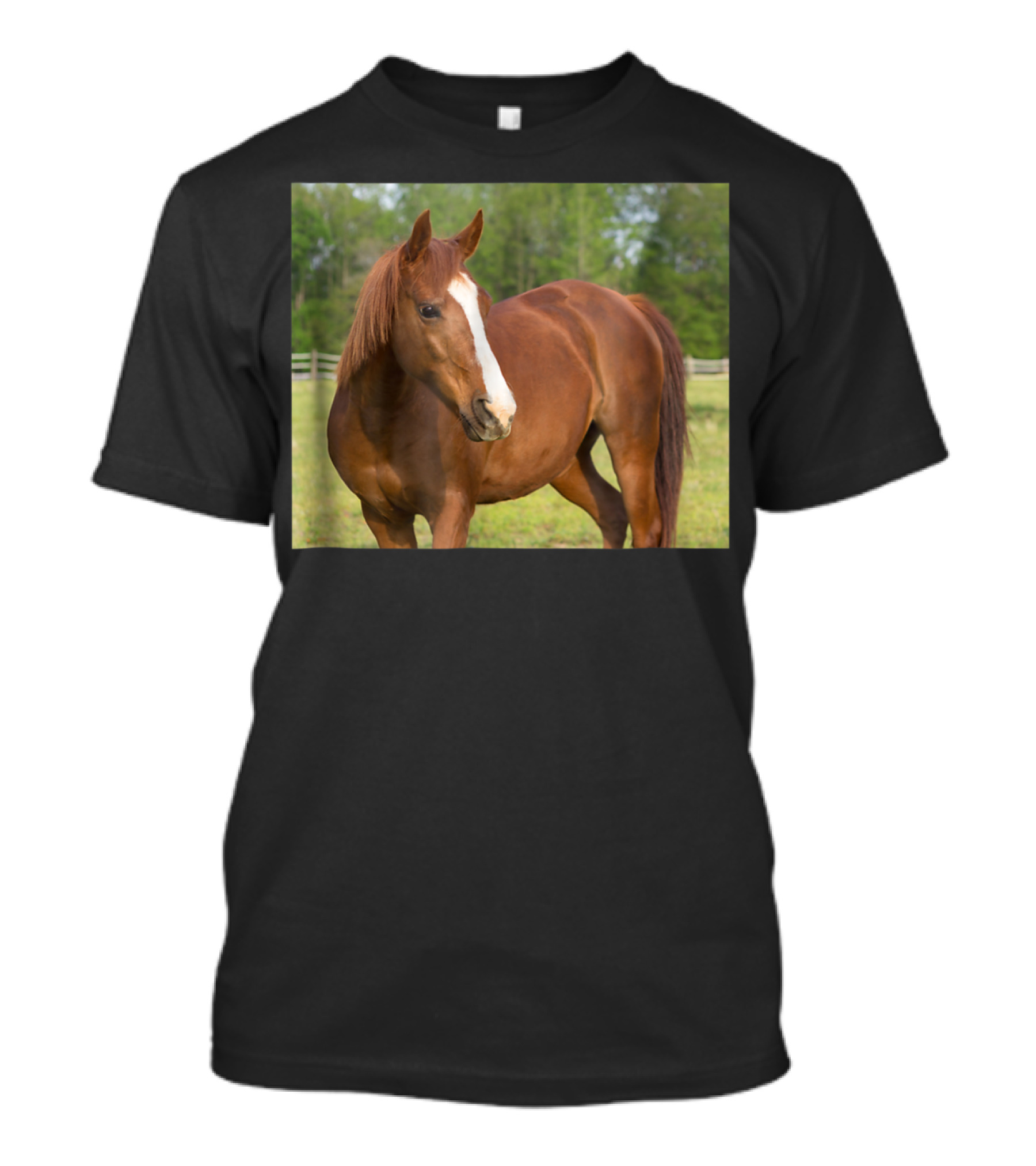 Arabian Horse Brown Pasture Side Profile T-Shirt