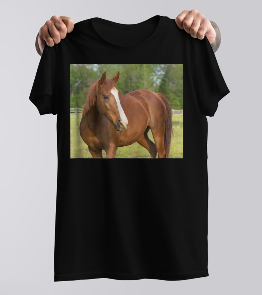 Arabian Horse Brown Pasture Side Profile T-Shirt