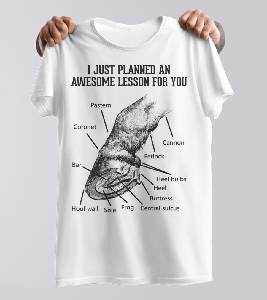 I Just Planned An Awesome Lesson For You Hoof Anatomy Funny Equestrians T-Shirt