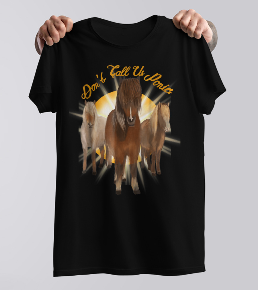 Don't Call Us Ponies Funny Cute Miniature Horse Trio Sunburst T-Shirt