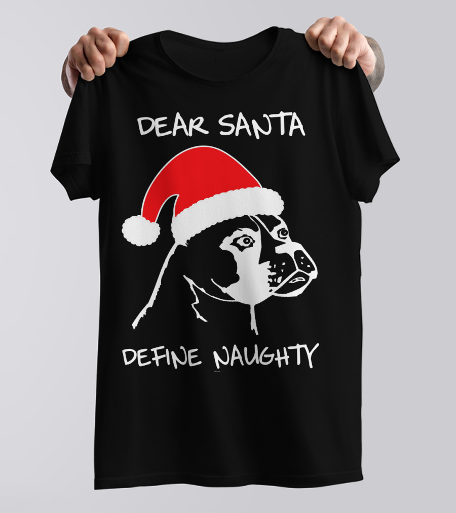 Dear Santa Define Naughty Boxer Funny Ugly Xmas Dog Lovers T-Shirt