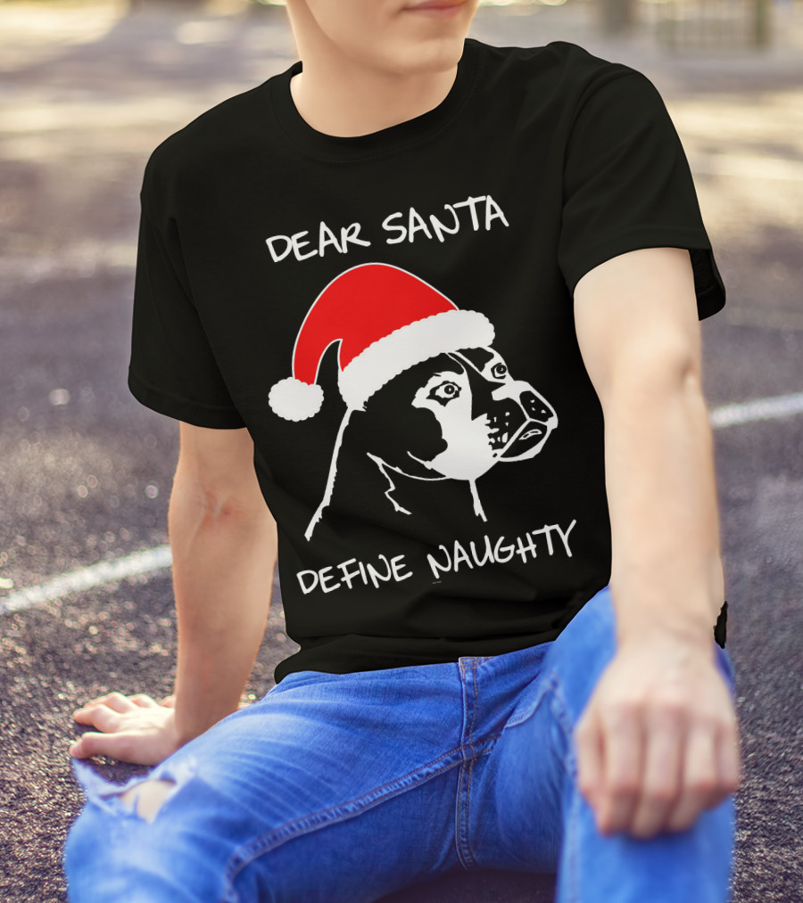 Dear Santa Define Naughty Boxer Funny Ugly Xmas Dog Lovers T-Shirt