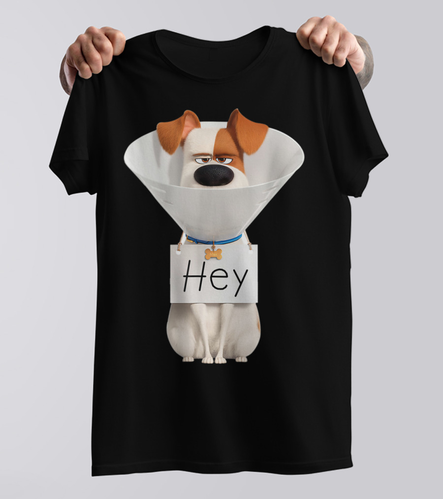 Hey Max Dog Cone Humor T-Shirt