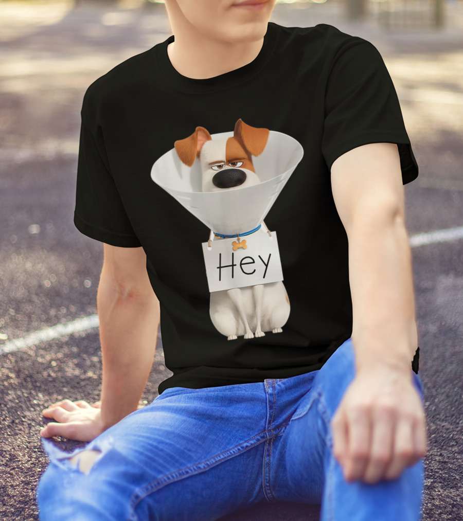 Hey Max Dog Cone Humor T-Shirt