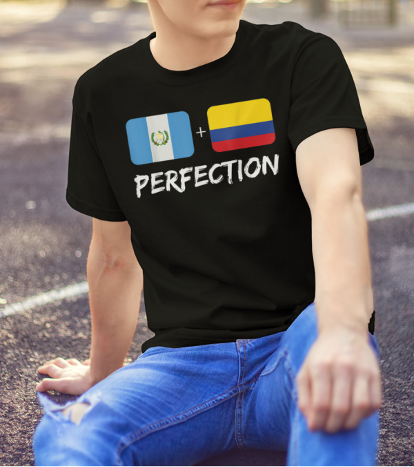 Guatemalan Flag Plus Colombian Flag Equals Perfection T-Shirt