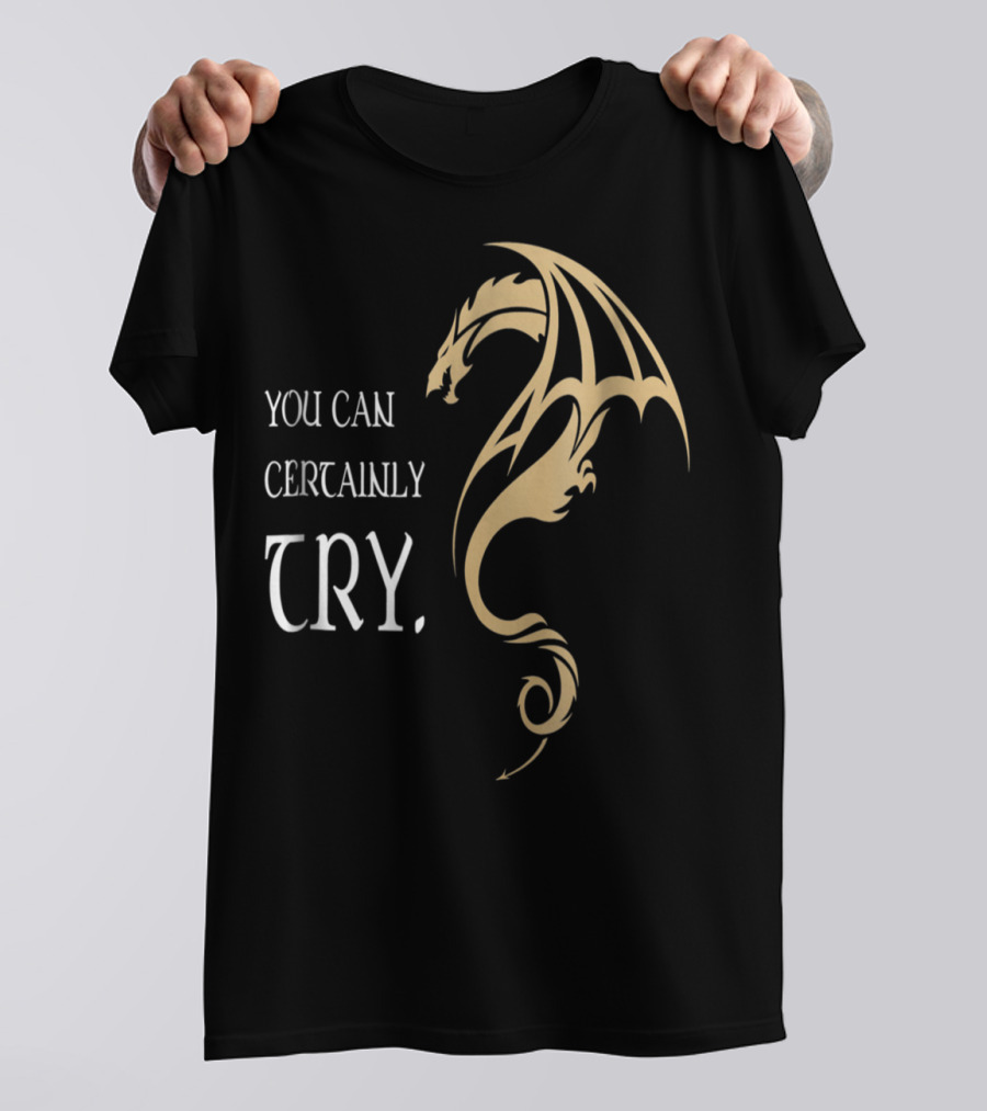 You Can Certainly Try Dragon Fire In The Dungeons T-Shirt