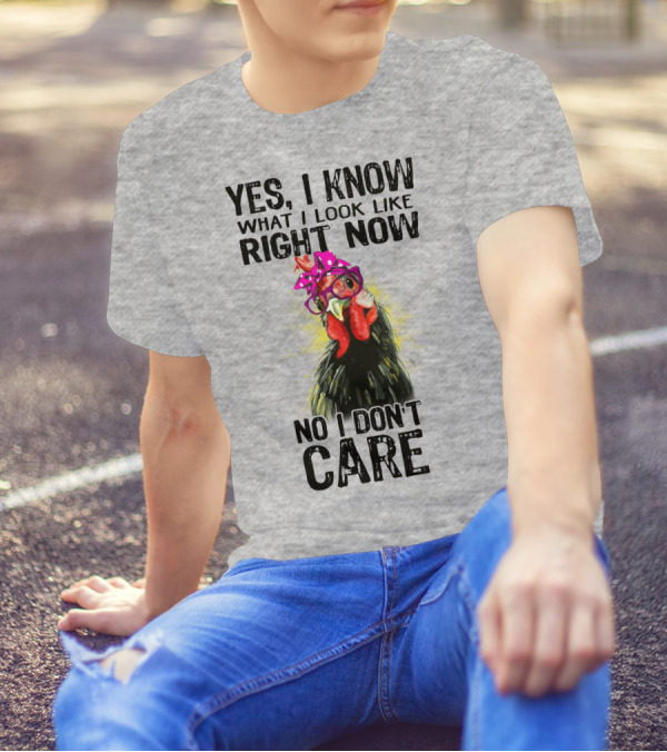 Yes I Know What I Look Like Right Now No I Don't Care Rooster With Bow Glasses T-Shirt