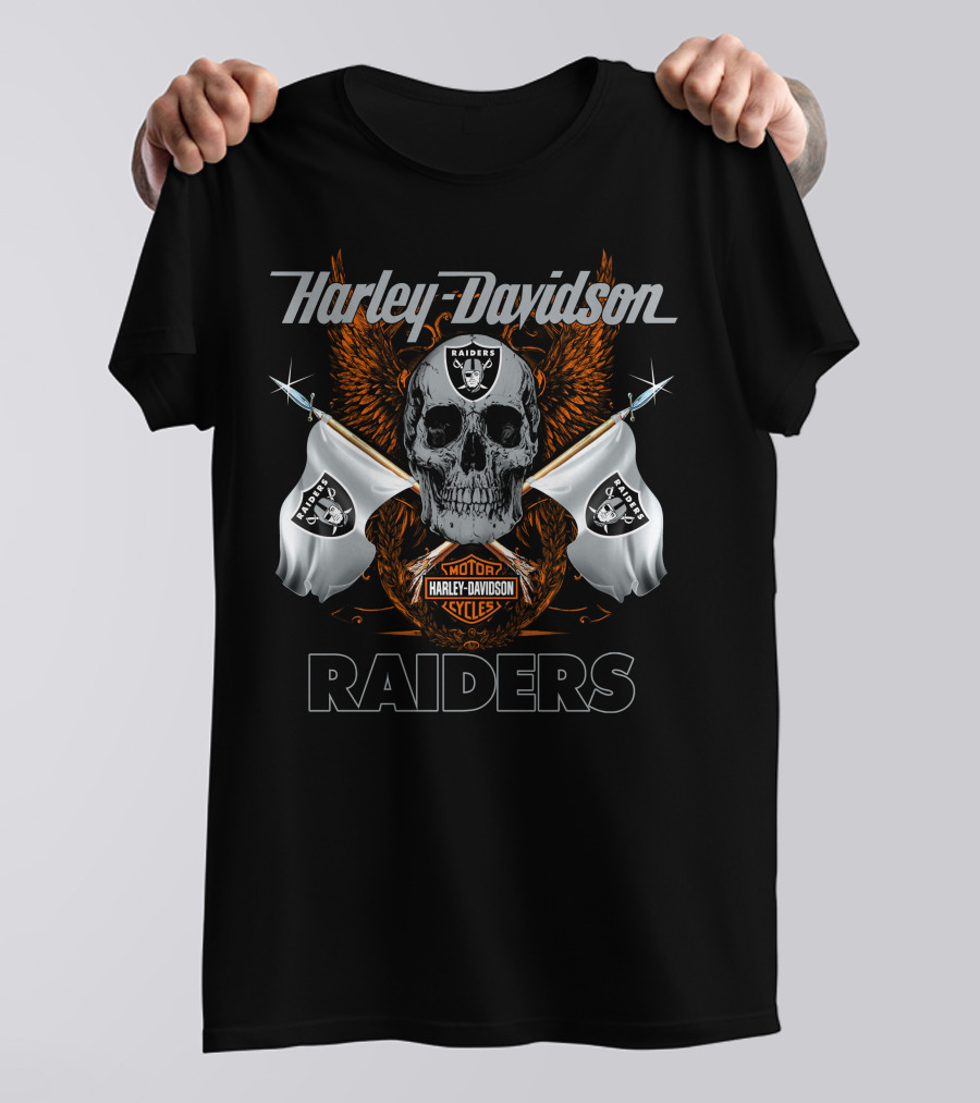 Harley Davidson Raiders Skull Flag T-Shirt