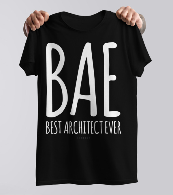 BAE Best Architect Ever Funny Architect T-Shirt