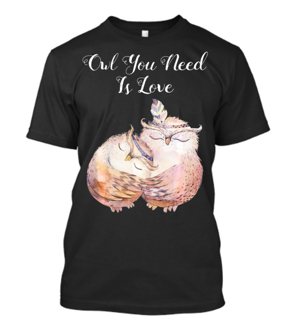 Owl You Need Is Love Valentines Day T-Shirt