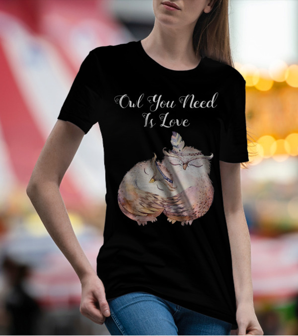 Owl You Need Is Love Valentines Day T-Shirt