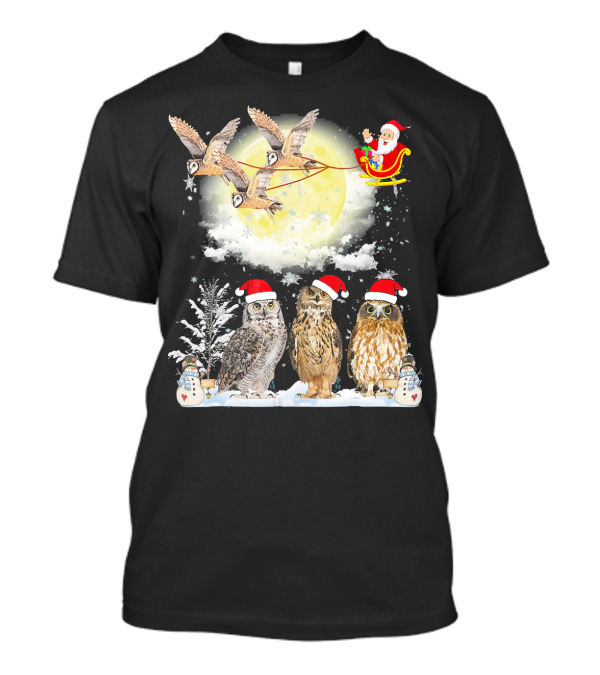 Santa's Sleigh With Owls And Moonlit Winter Scene T-Shirt