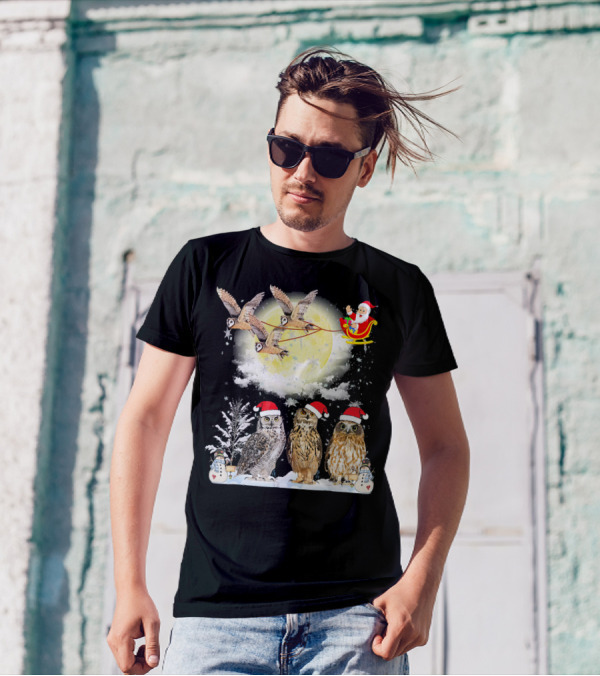 Santa's Sleigh With Owls And Moonlit Winter Scene T-Shirt