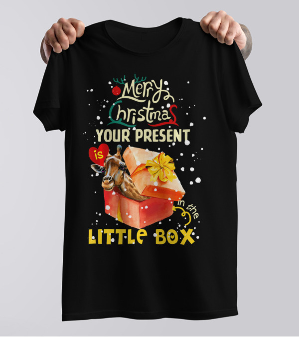 Merry Christmas Your Present Is In The Little Box T-Shirt
