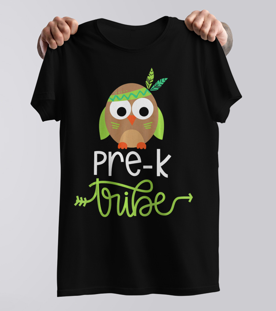 Pre K Tribe Owl With Arrow And Feathers T-Shirt