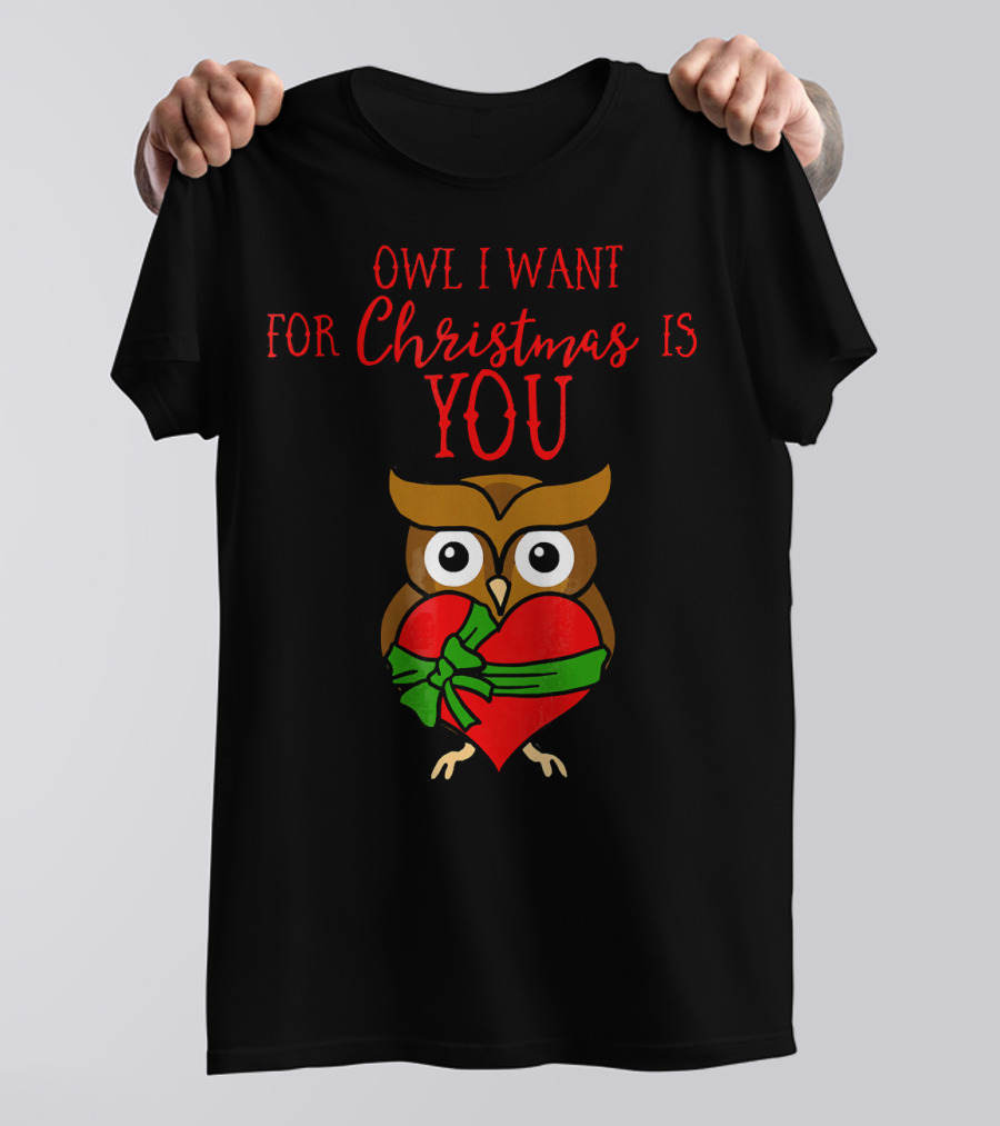 Owl I Want For Christmas Is You Owl Heart Present T-Shirt