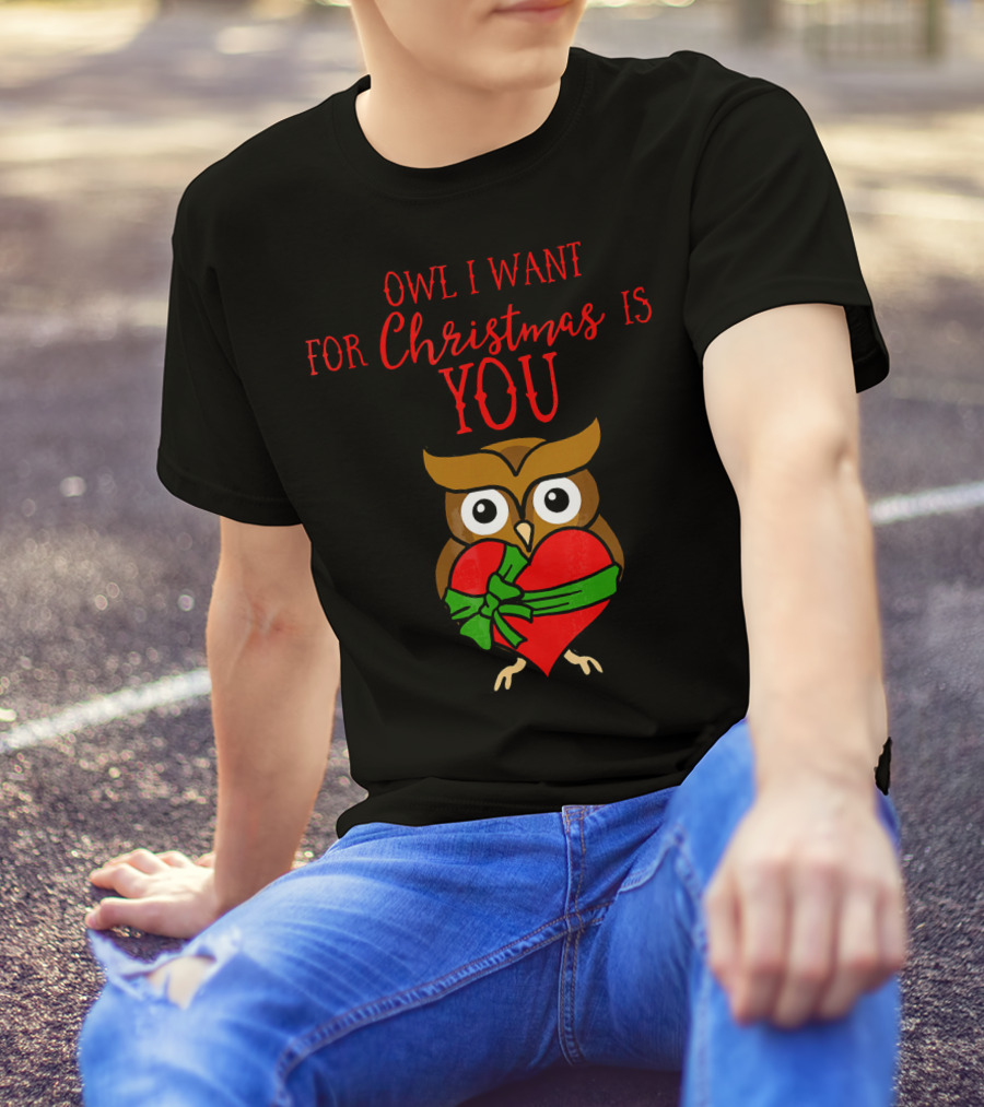 Owl I Want For Christmas Is You Owl Heart Present T-Shirt