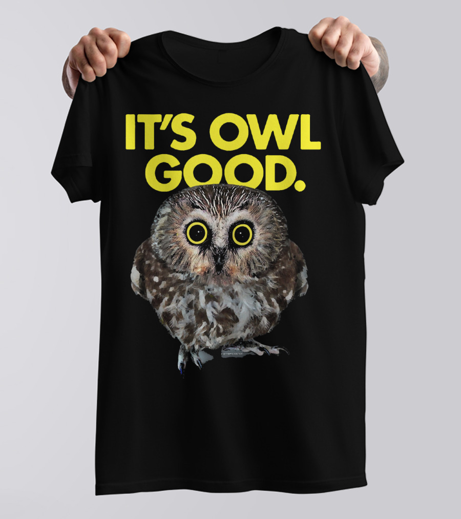 Ripple Junction It's Owl Good Bright Owl Face T-Shirt