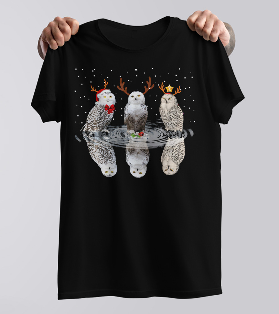 Three Owl Christmas Matching Family Group With Santa Hats And Reindeer Antlers Snowflakes T-Shirt