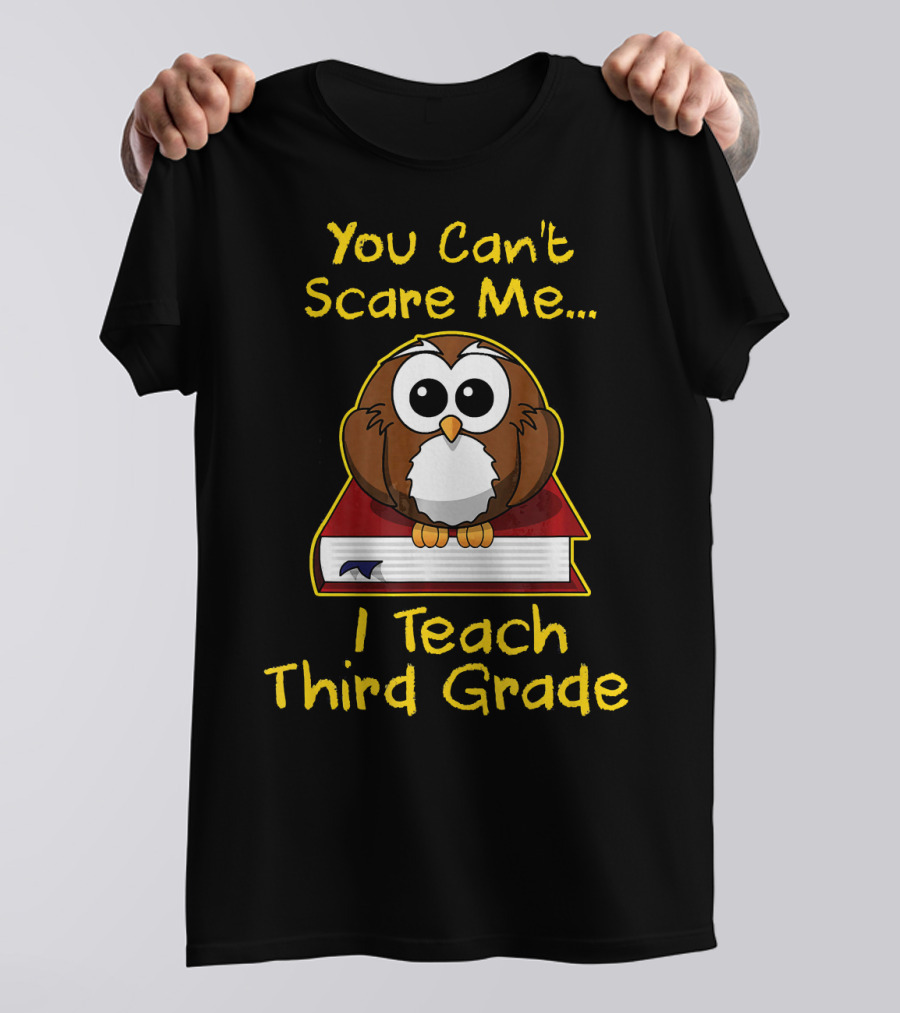 You Can't Scare Me I Teach Third Grade Owl On Book T-Shirt