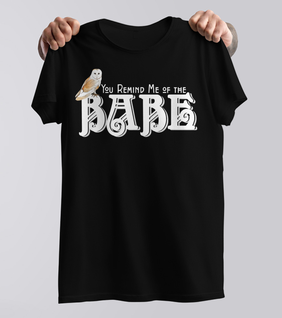 You Remind Me Of The Babe Barn Owl Retro Lettering T-Shirt