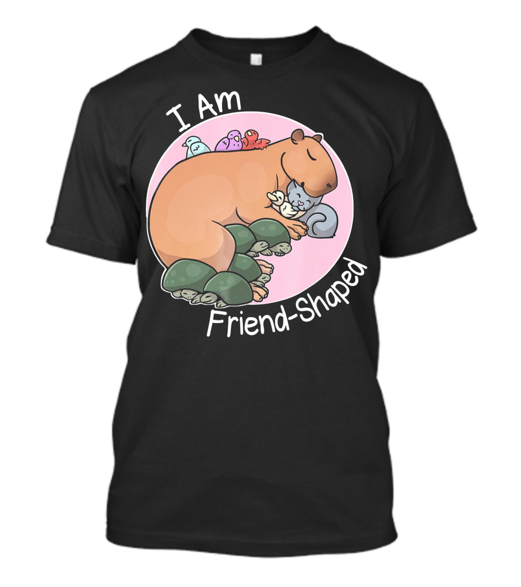 I Am Friend Shaped Capybara Surrounded By Birds And Turtles T-Shirt