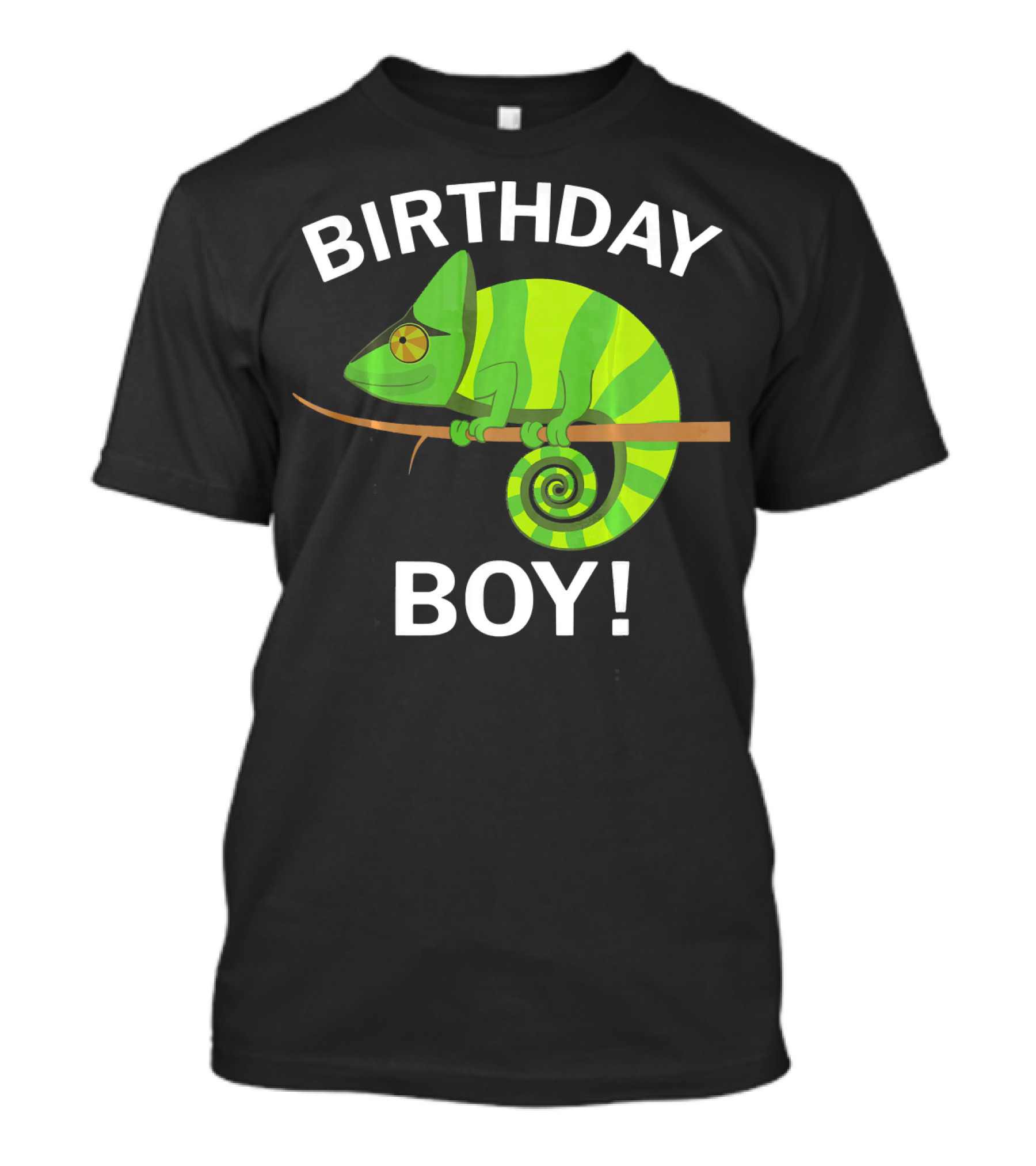 Birthday Boy Green Chameleon Lizard T-Shirt