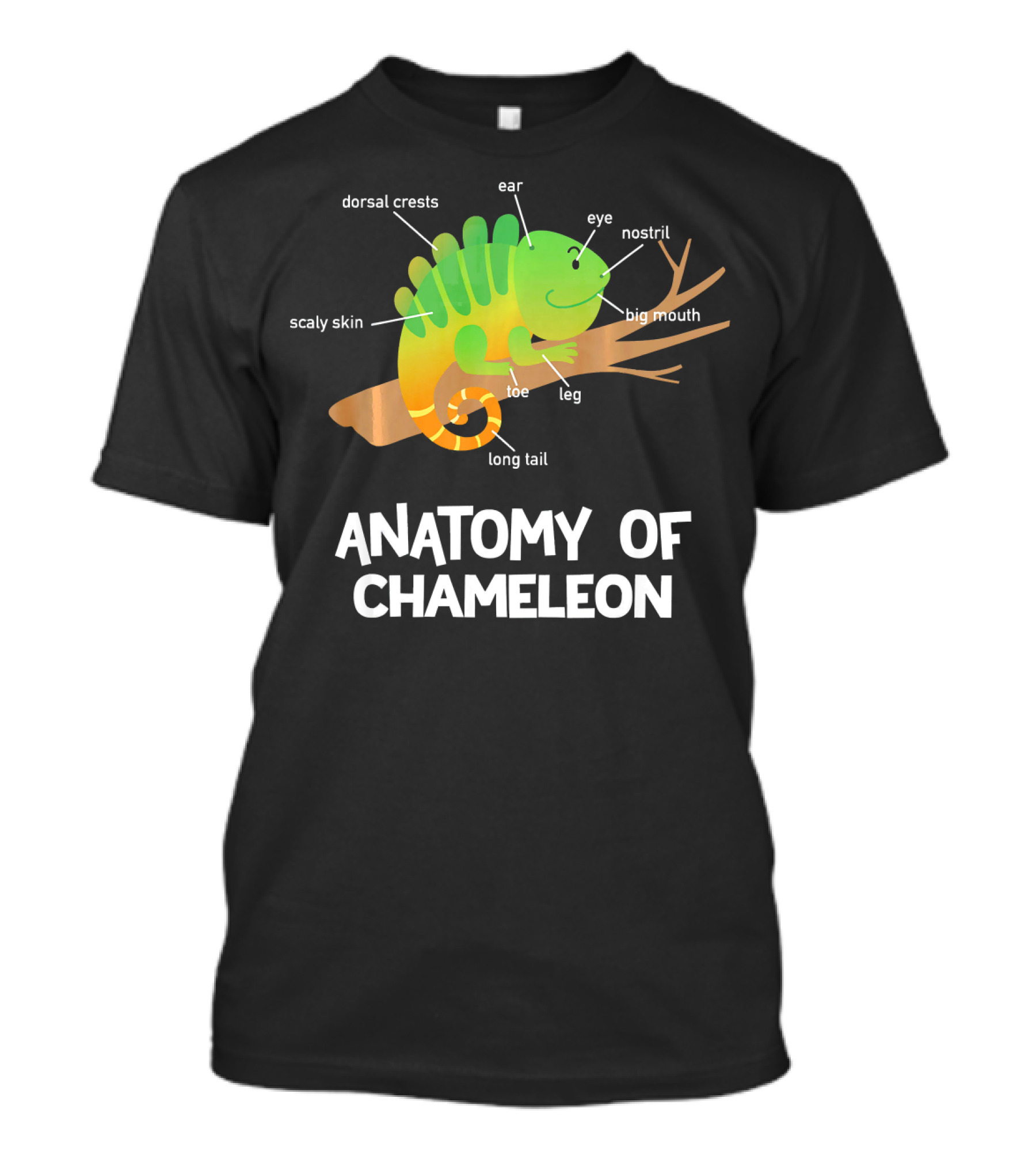 Anatomy Of Chameleon Kids Boys Lizard Long Tail Dorsal Crests Scaly Skin T-Shirt