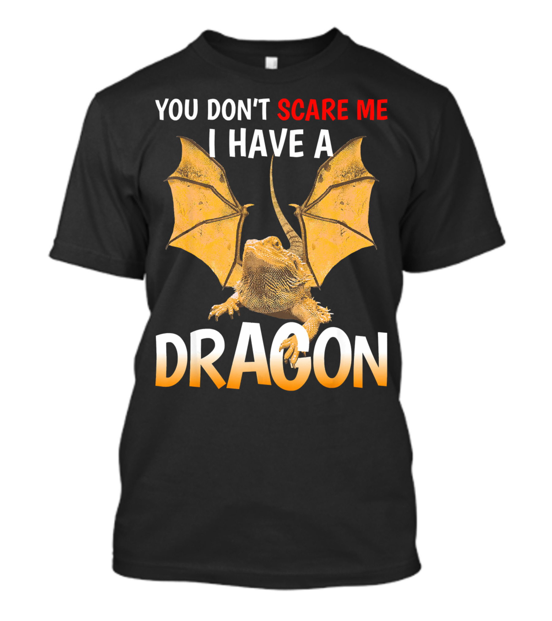 YOU DON'T SCARE ME I HAVE A DRAGON T-Shirt