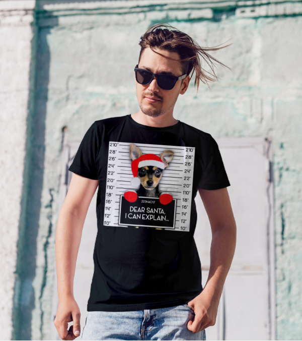 Dear Santa I Can Explain Xmas Miniature Pinscher Lover Santa Hat T-Shirt