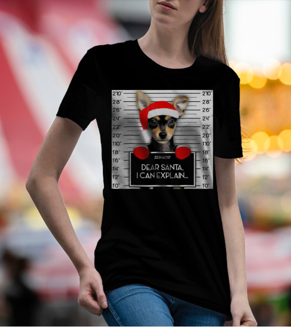 Dear Santa I Can Explain Xmas Miniature Pinscher Lover Santa Hat T-Shirt