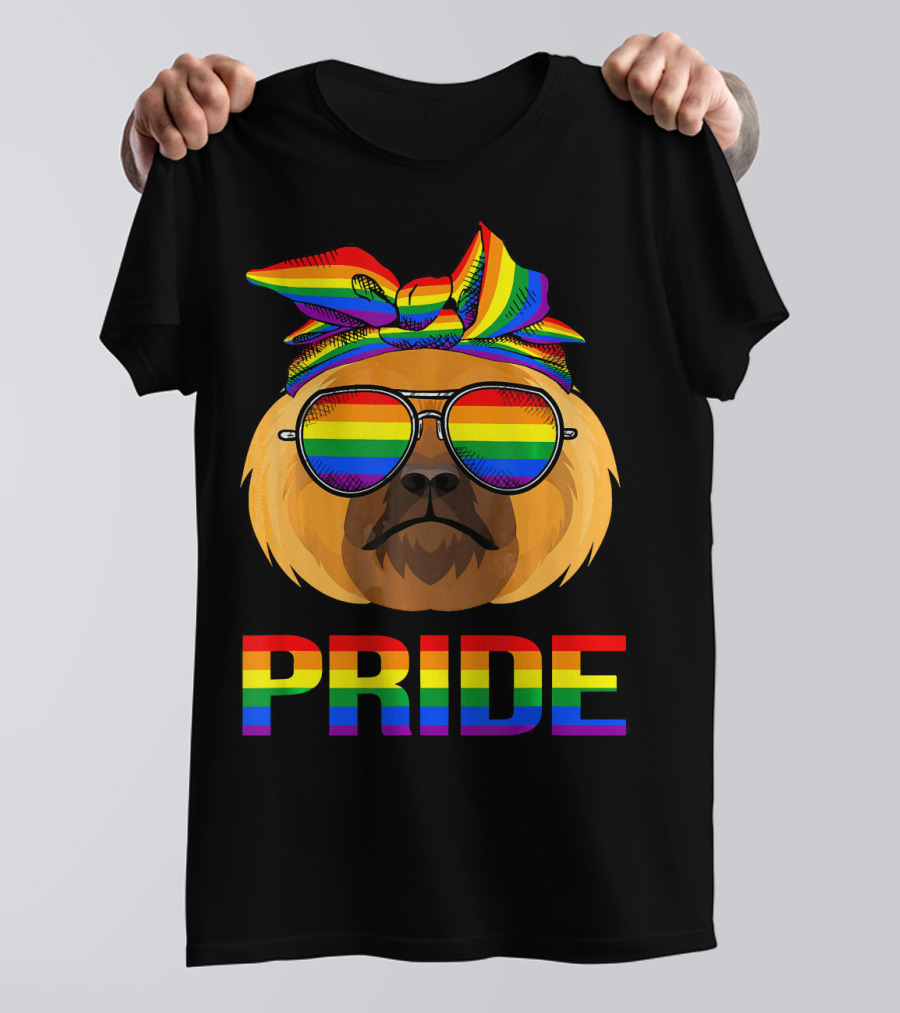Funny Pekingese Pride With Rainbow Sunglasses And Bandana T-Shirt