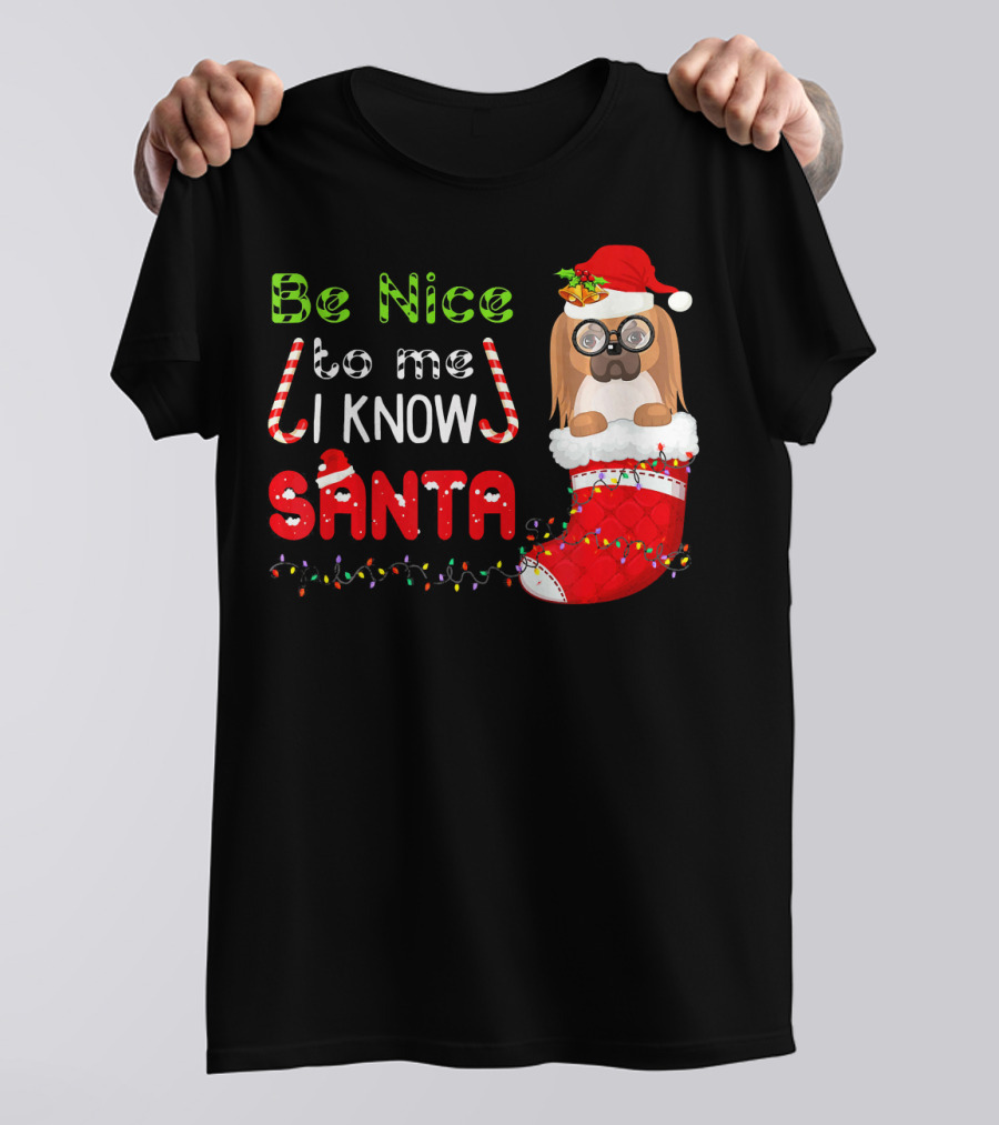 Be Nice To Me I Know Santa Pekingese In Santa Hat And Christmas Stocking T-Shirt