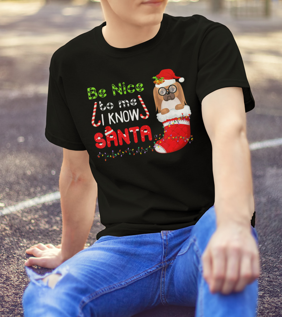 Be Nice To Me I Know Santa Pekingese In Santa Hat And Christmas Stocking T-Shirt