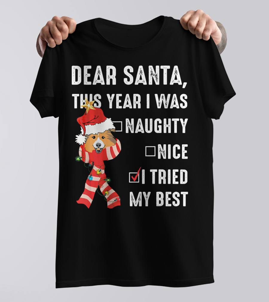 Dear Santa This Year I Was Naughty Nice I Tried My Best Schnauzer Chr T-Shirt