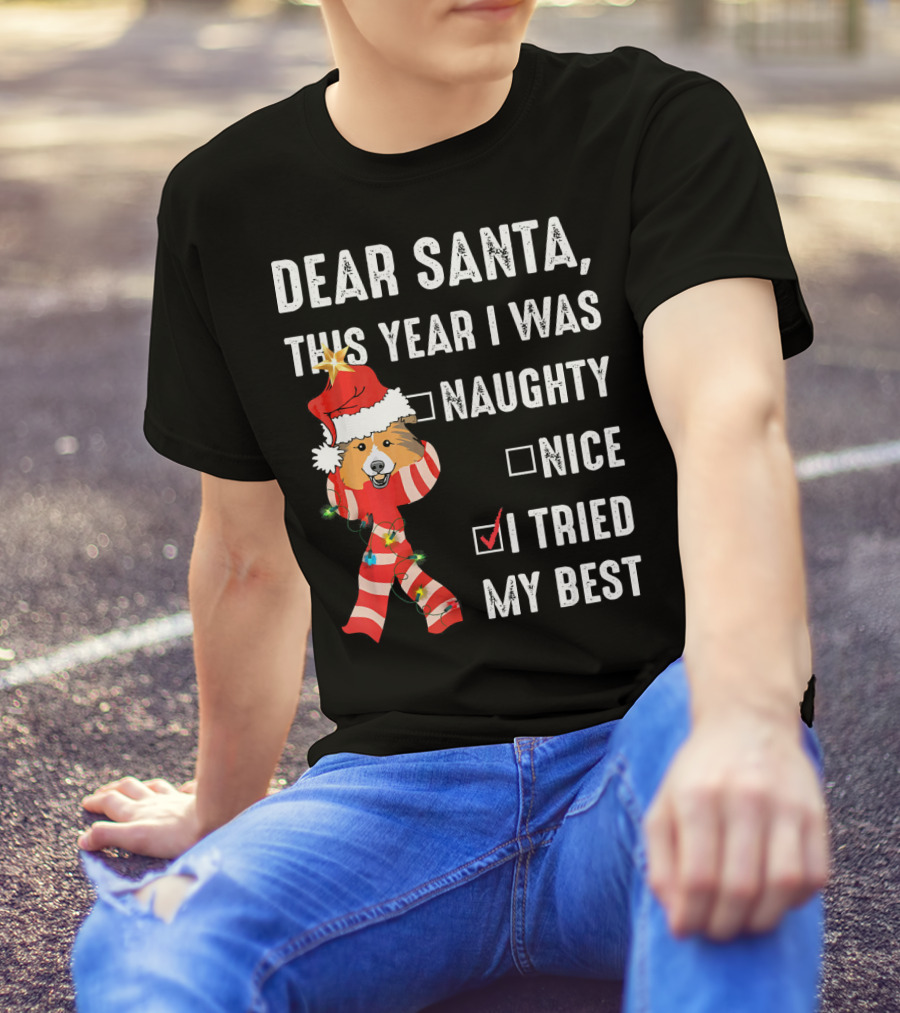 Dear Santa This Year I Was Naughty Nice I Tried My Best Schnauzer Chr T-Shirt