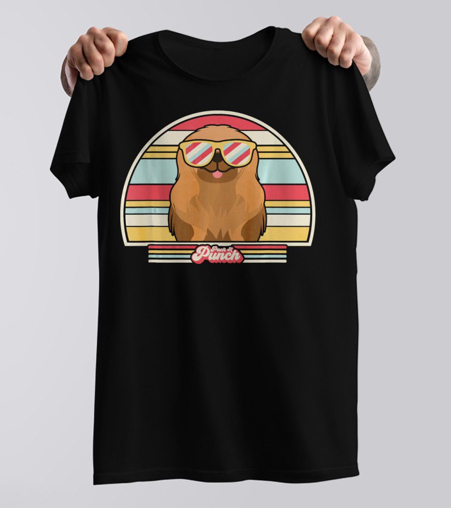 Pekingese Retro Style Pooch A Punch Vintage Stripes T-Shirt
