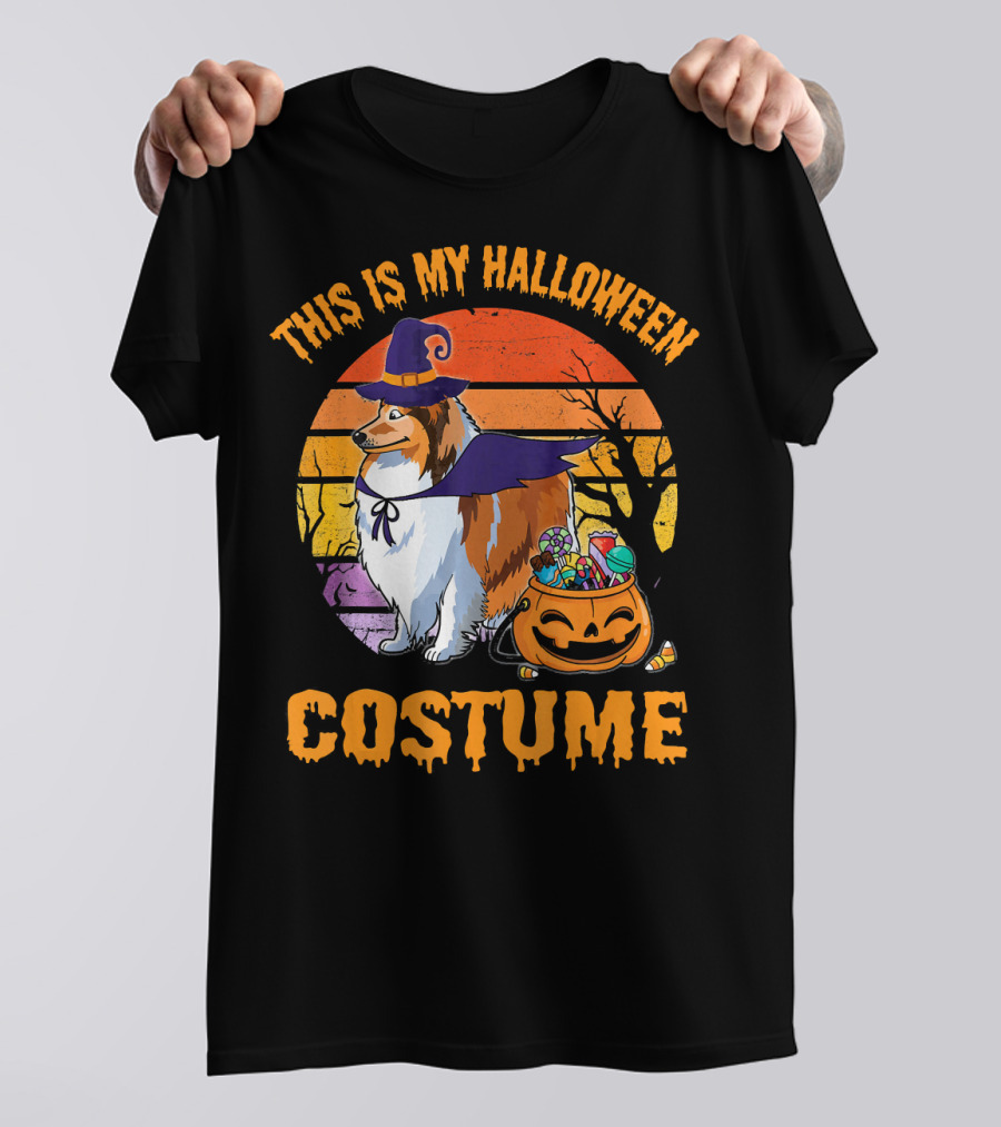 Sheltie Dog Witch With Pumpkin Candy This Is My Halloween Costume T-Shirt