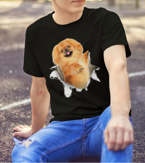 Pekingese Torn Inside Hole Dog Mid T-Shirt