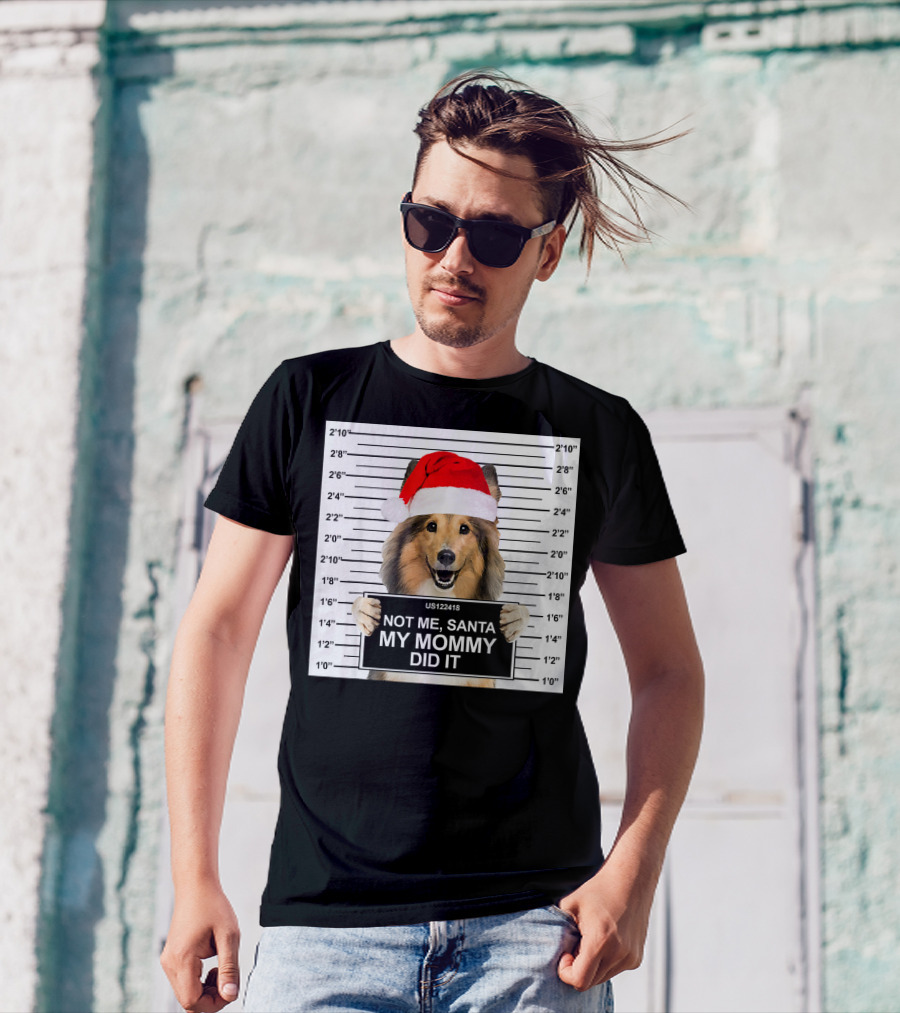 Not Me Santa My Mommy Did It Dog Mugshot Christmas Santa Hat T-Shirt