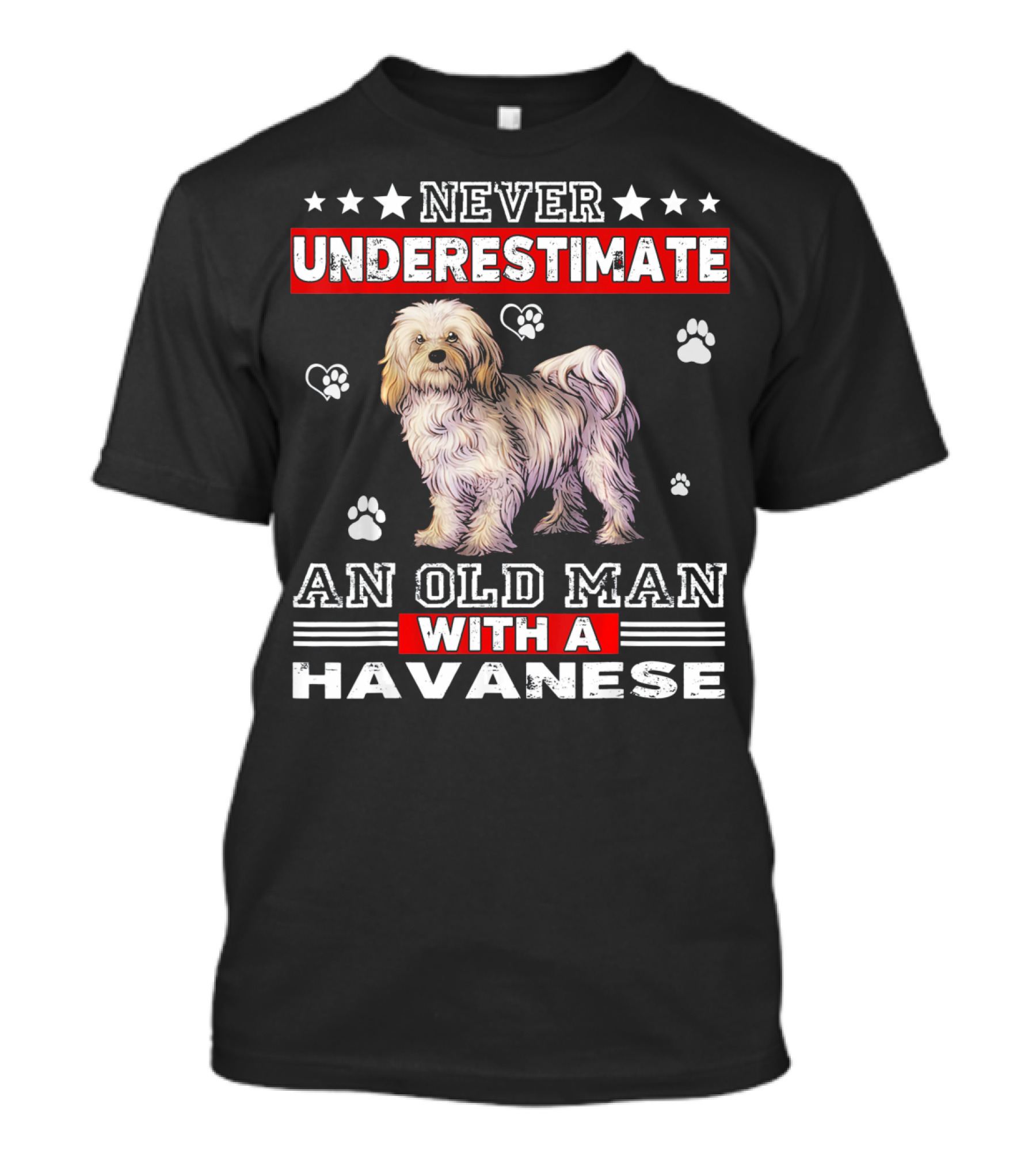 NEVER UNDERESTIMATE AN OLD MAN WITH A HAVANESE T-Shirt