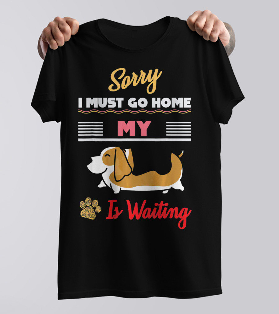 Sorry I Must Go Home My Basset Hound Is Waiting T-Shirt